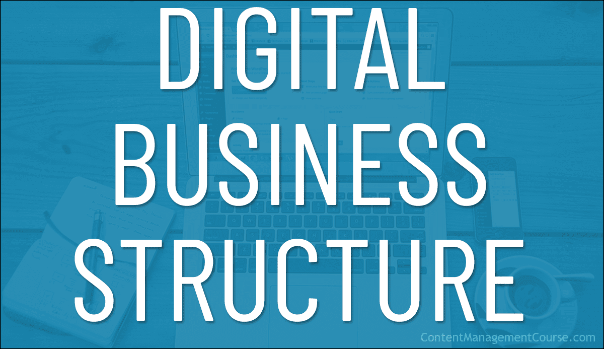 Digital Business Structure