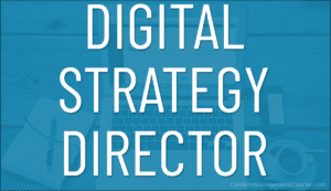 Digital Strategy Director