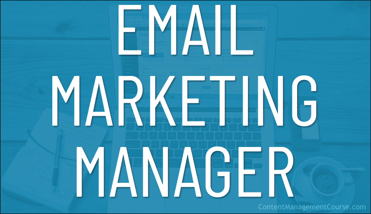 Email Marketing Manager