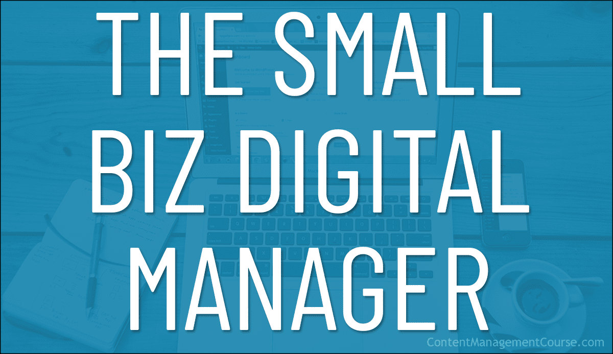 The Small Business Digital Manager